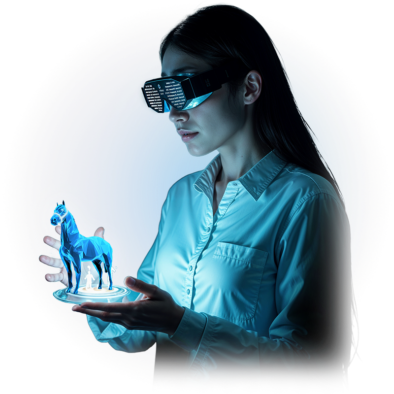 VHS Digital Ownership